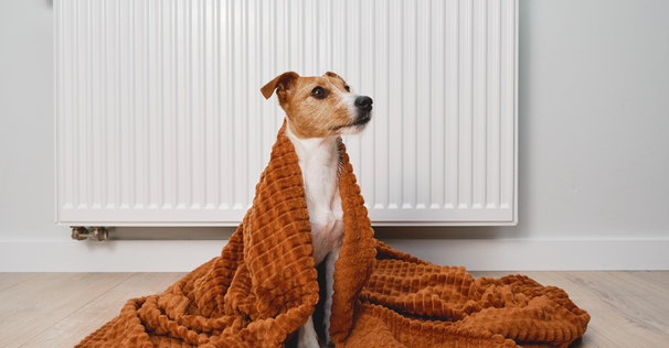 Watch out for these four common boiler problems