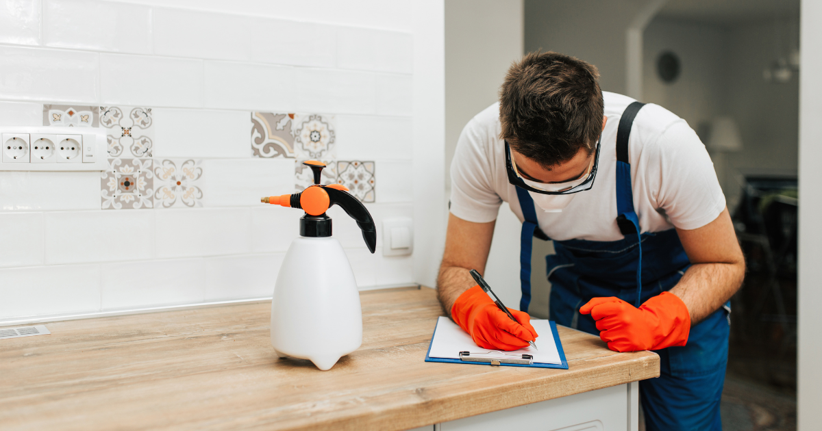 Read our handy guide on how to keep pests away from your home